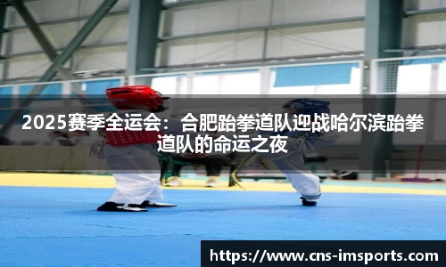 2025赛季全运会：合肥跆拳道队迎战哈尔滨跆拳道队的命运之夜